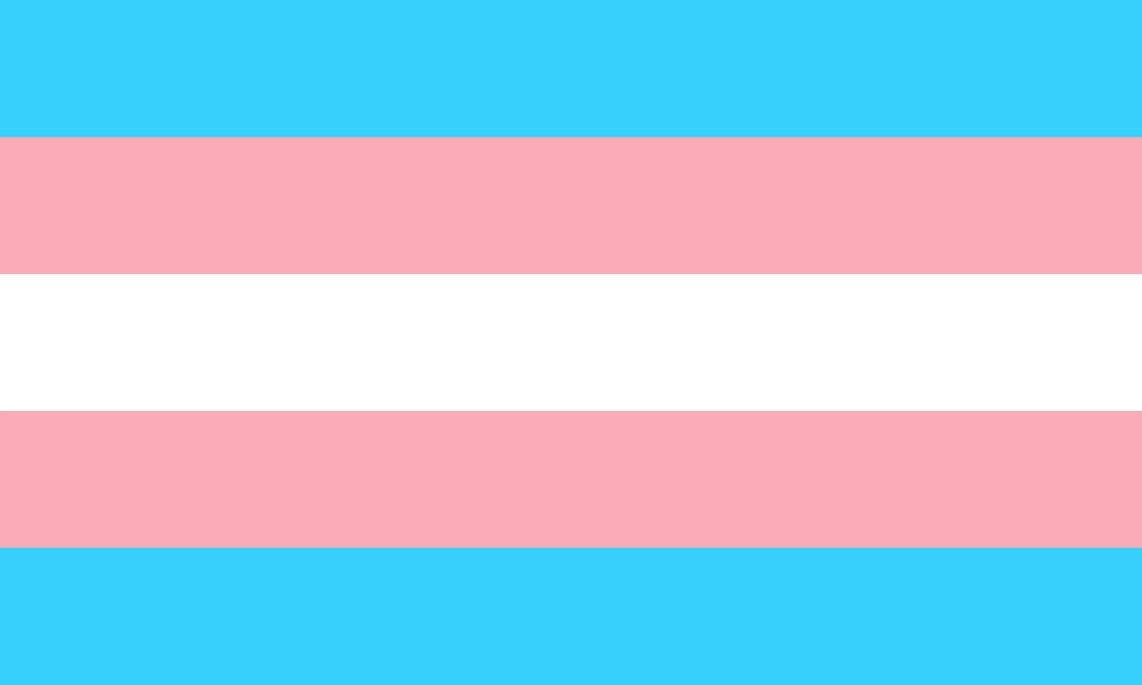 Trans flag from https://pixabay.com/illustrations/trans-transgender-flag-pride-1792756/